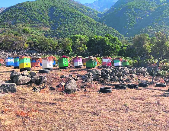 Το πικρόμελο Σαμοθράκης διακρίθηκε σε διεθνή διαγωνισμό και έγινε «best seller» στα Εμιράτα!