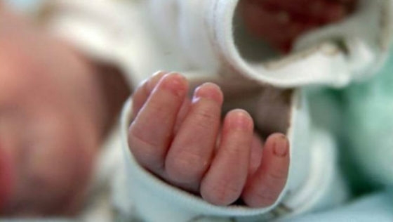 Η μητέρα του ισχυρίζεται ότι το είχε ταΐσει τελευταία φορά στις 11 το βράδυ και σήμερα το πρωί το βρήκε νεκρό με αφρούς στο στόμα.