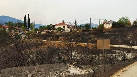Για επιχειρήσεις που επλήγησαν από τις πυρκαγιές του Αυγούστου του 2023.