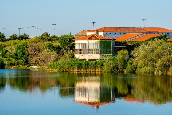 Σε δημοπρασία βγαίνει ο Οικοτουριστικός Ξενώνας της λίμνης Τυχερού 