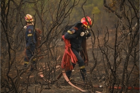 Η προκήρυξη εμπεριέχει αντιφατικούς όρους ως προς τα όρια ηλικίας, αλλά και τέλος μοριοδοτεί εσφαλμένα τις διάφορες κατηγορίες.