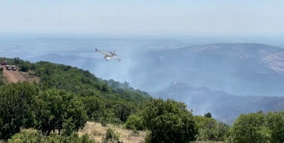 Δαδιά: Μικρότερη απ' ό,τι είχε αρχικά εκτιμηθεί η περιβαλλοντική ζημιά