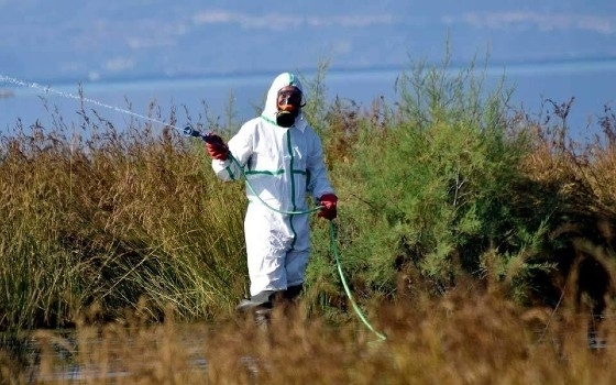 Το εβδομαδιαίο πρόγραμμα ψεκασμών για τα κουνούπια στον Έβρο