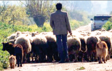 Δεν έδωσε σημεία ζωής στην οικογένειά του για διάστημα πέντε μηνών.