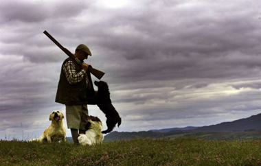 Οι νέες διατάξεις ενσωματώθηκαν στο σχετικό νομοθετικό πλαίσιο.