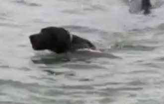 Στη νέα του οικογένεια βρίσκεται εδώ και λίγες ημέρες ο Ιωνάς.