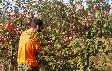 Το ΜΠΟΡΟΥΜΕ συντονίζει την συλλογή και προσφορά προς τους κοινωφελείς φορείς.