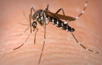 Στο επίκεντρο του ενδιαφέροντος μπαίνει Έβρος, καθώς γειτνιάζει με την Τουρκία.