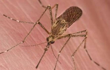 Γεγονός που γεννά ανησυχία παρότι πρακτικά η επικίνδυνη περίοδος έχει παρέλθει.