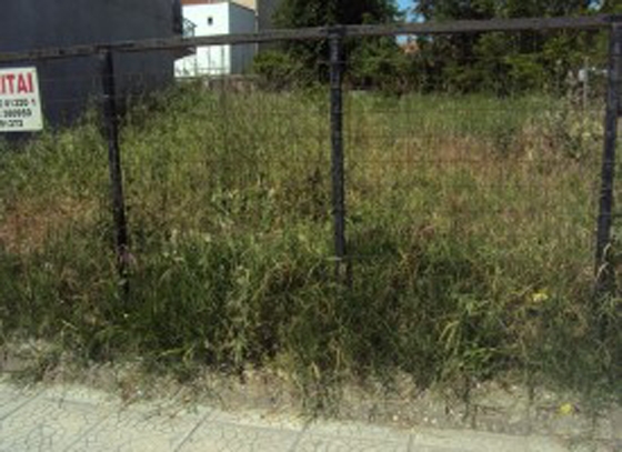 Ορεστιάδα: Κυρώσεις σε ιδιοκτήτες εγκαταλελειμμένων οικοπέδων για τον καθαρισμό τους μέχρι τις 30 Μαίου