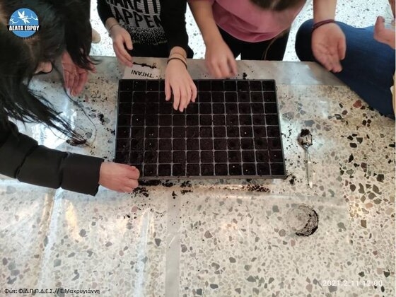 Πρόγραμμα Σχολικών Κήπων στο 2ο Δημοτικό Σχολείο Φερών