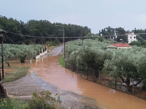 Έντονες βροχοπτώσεις έπληξαν εχτές τον Έβρο δημιουργώντας προβλήματα σε πολλές περιοχές.