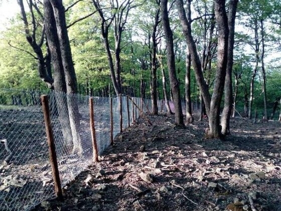 Έργα περίφραξης έγιναν στις περιοχές “Kουφούκλιο” και “Μαρτίνη” Σαμοθράκης από το Δασαρχείο Αλεξανδρούπολης.