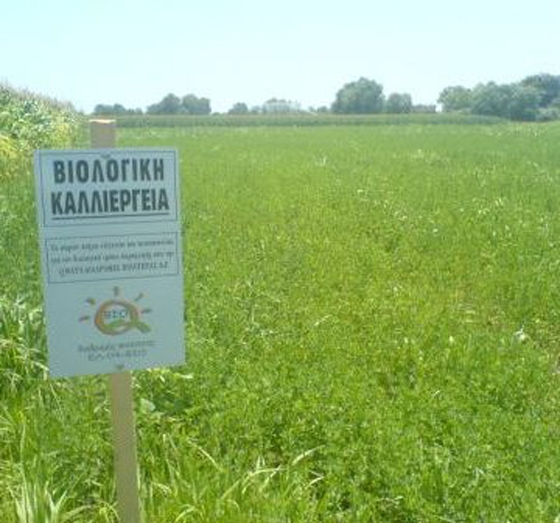 Ιδιαίτερη προσοχή πρέπει να επιδείξουν φυσικά και νομικά πρόσωπα κατά τη συμπλήρωση της φόρμας για τις βιολογικές καλλιέργειες 