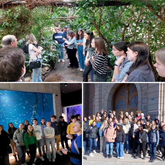 Στιγμιότυπα από τις επισκέψεις των μαθητών του 1ου ΓΕΛ Αλεξανδρούπολης!
