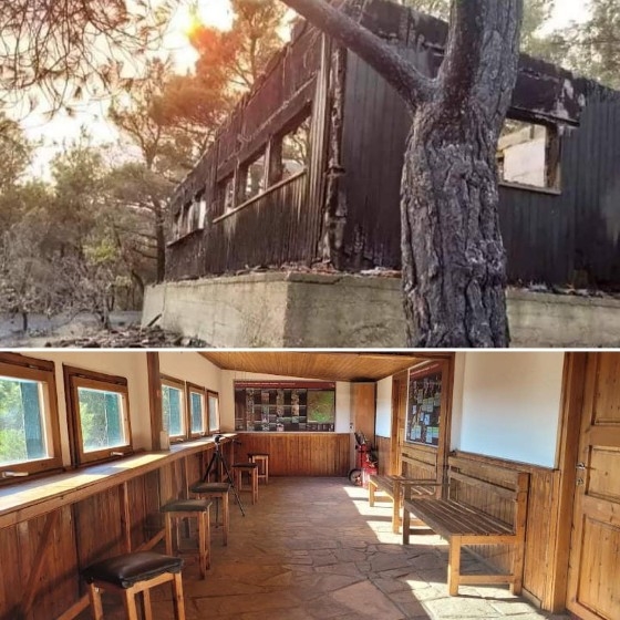 Πώς ήταν το παρατηρητήριο πουλιών στο δάσος της Δαδιάς και πώς έγινε...